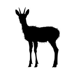 Black silhouette of a chamois.