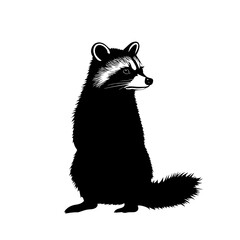 Black and white illustration of a raccoon. (1)