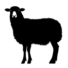Black sheep silhouette.