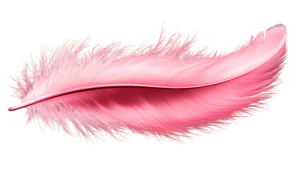 pink feather on white background detailed macro shot