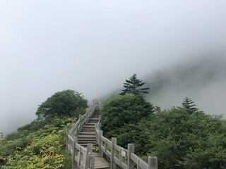 Fototapeta premium stairway to the sky