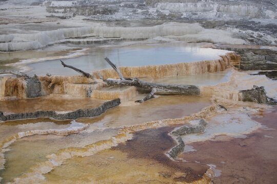 Thermal Beauty of Mammoth Hot Springs