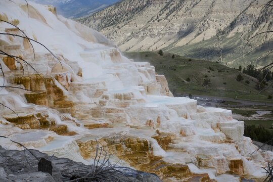 Mammoth Hot Springs Yellowstone's Natural Wonders