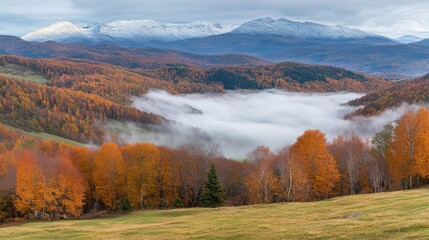 Autumn Fog Over Mountain Landscape with Treetops