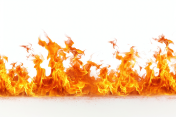 PNG Flame bottom border bonfire white background explosion.