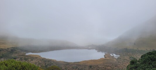 Naturaleza: niebla mágica