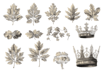 Gothic Vector Design of Leaf, Flower, and Crown Elements