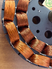Ceiling fan winding stator structure, a brown and black object with a black center and a blue hole