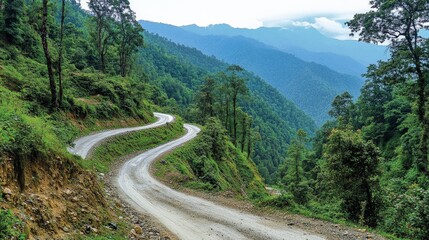 Fototapeta premium Serene Winding Road Through Dense Mountain Forests