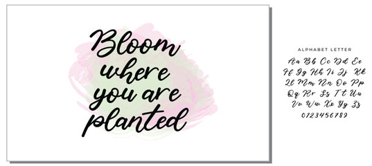 Hand drawn holiday lettering. Ink illustration. Modern brush calligraphy. Isolated on white background. Bloom where you are planted.