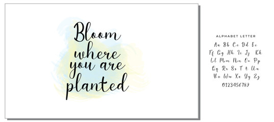 Hand drawn holiday lettering. Ink illustration. Modern brush calligraphy. Isolated on white background. Bloom where you are planted.