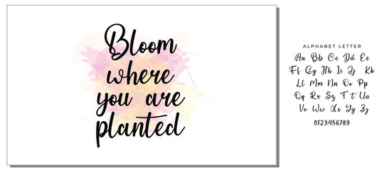 Hand drawn holiday lettering. Ink illustration. Modern brush calligraphy. Isolated on white background. Bloom where you are planted.