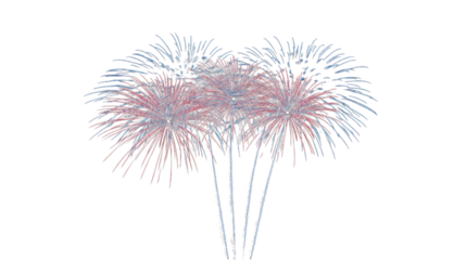 Stunning Fireworks Display in Red and Blue Colors 
