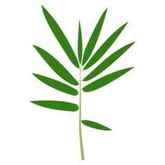 Tropical Leaves in Green Color Design. Vector Illustration Isolated on White Background