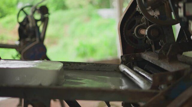 Rubber tree Hevea brasiliensis produces latex.Rubber Harvesting and Processing. How to process natural rubber (latex) in the farm. Rubber tree plantation in Thailand.
