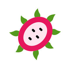 Dragon Fruit Icon