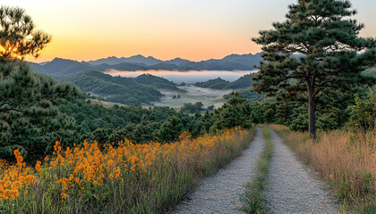 Sunrise over misty Ozark mountain valley, gravel road, wildflowers, travel brochure.