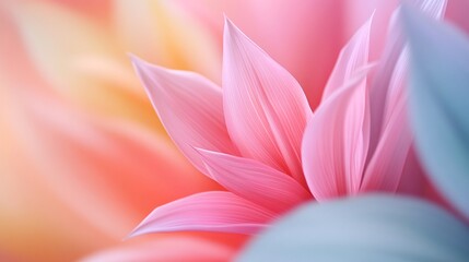 Fototapeta premium A soft focus image of pastel-colored flower petals, blending shades of pink and blue, creating a serene and delicate floral composition.