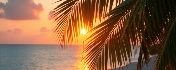 Palm fronds sway in the gentle breeze as sunset light fades out, sunset, gentle, fronds