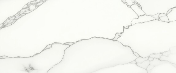 Obraz premium A photograph of a white marble surface with black veins, close-up view, high quality, no watermark, jpeg artifacts, no people