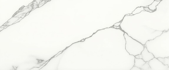 A photograph of a white marble surface with black veins, close-up view, high quality, no watermark, jpeg artifacts, no people