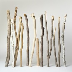 Natural Wooden Sticks: Rustic Minimalist Art