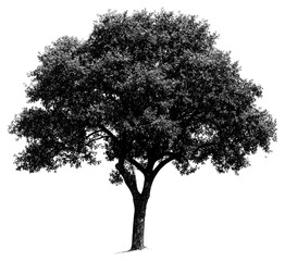 PNG Tree retro photocopy stipple effect white illustration monochrome.