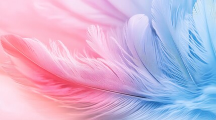 Obraz premium Soft pastel feather abstract background with gentle flowing colors