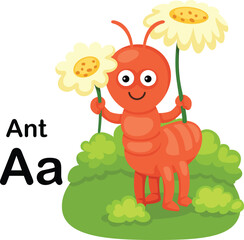 Alphabet Letter A-Ant with cartoon vocabulary illustration, vector
