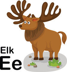 Alphabet Letter E-Elk with cartoon vocabulary illustration, vector
