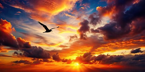 Vibrant sunset sky with dark clouds, lower sun flame, and silhouette bird flying , sunset, colorful sky, purple