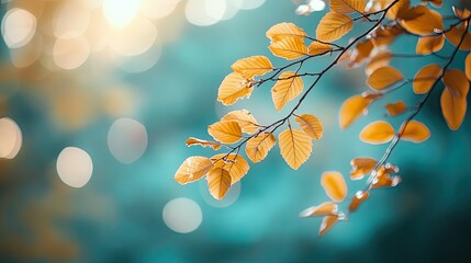 Obraz premium Beautiful nature background with soft sunlight and bokeh, teal leaves, abstract banner design