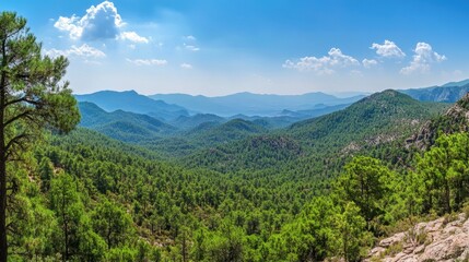 Naklejka premium Serene Mountain Landscape with Lush Green Forest Under Blue Sky