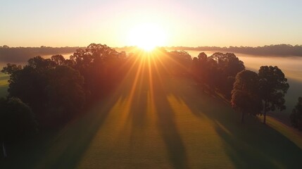 Obraz premium Sunrise Over Misty Landscape With Trees and Long Shadows in Morning Light