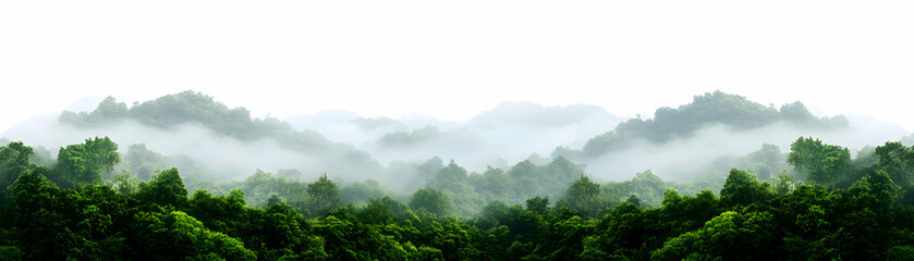 Serene green landscape with misty mountains, showcasing nature's beauty and tranquility.
