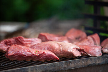 Fresh meat is sizzling on the grill, showcasing mouthwatering barbecue techniques that invite everyone to enjoy