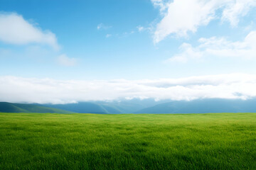 Obraz premium A serene landscape featuring lush green grass against a clear blue sky and distant mountains.