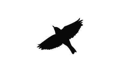 Flying Thrush Bird Silhouette Design  And Vector Illustration. 