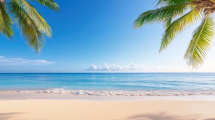 Serene beach scene with clear water and palm trees.