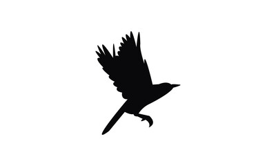 Obraz premium Flying Thrush Bird Silhouette Design And Vector Illustration. 
