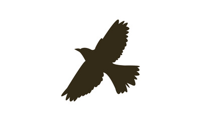 Flying Thrush Bird Silhouette Design  And Vector Illustration. 