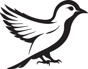 Fototapeta premium dove