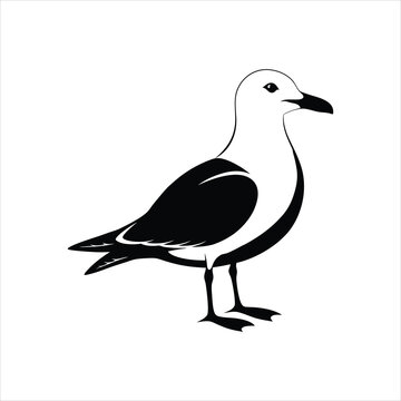 black and white seagull standing clip art preview