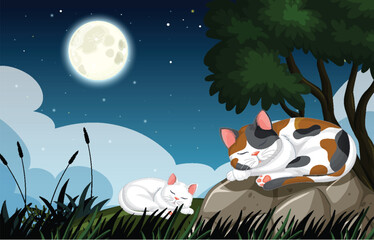 Cats Sleeping Peacefully Under Moonlight