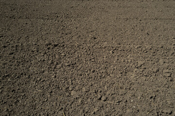 Soil texture background for gardening. Organic gardening. Agriculture concept. Mud on field. Soil...