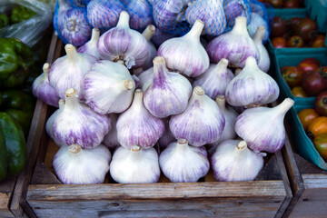 Organic Red Russian Garlic Bulbs Farmers Market