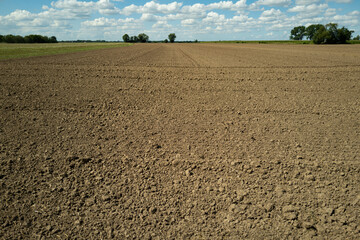 Soil texture background for gardening. Organic gardening. Agriculture concept. Mud on field. Soil...