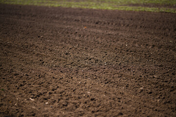 Soil texture background for gardening. Soil as background. Organic gardening. Soil field background. Soil for planting background.