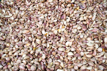 Organic Red Russian Garlic Bulbs Farmers Market