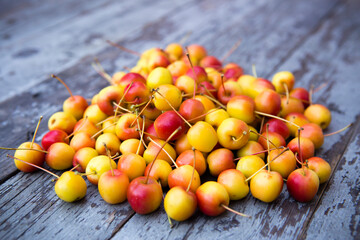 Ripe Organic Crab Apple Fruit